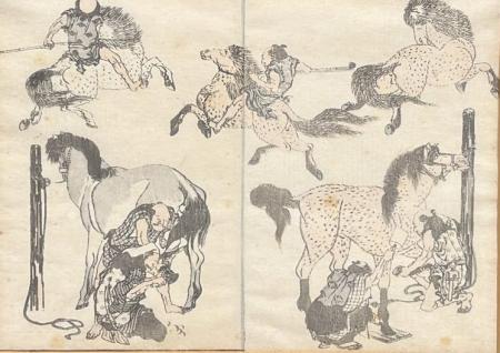 Quadro di Hokusai Katsushika Mangwa  - xilografia - 